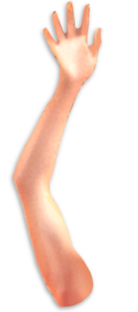 arm